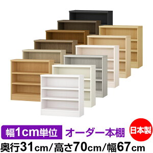 {I J[{bNX 1cmPʃI[_[bs31cm 70cm 67cmb{ ؐ F I[_[bN [I I[_[}`bN ω׏d I 