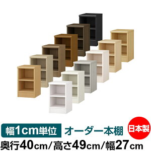 I[_[ {I [ I I bN TCYI[_[ e I[_[}`bN s40cm 49cm 27cmb{ ؐ e W^Cv ށE{[I I[vbN 