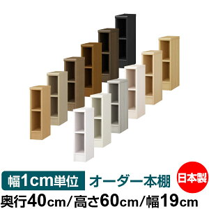 I[_[ {I [ I I bN TCYI[_[ e I[_[}`bN s40cm 60cm 19cmb{ ؐ e W^Cv ށE{[I I[vbN 