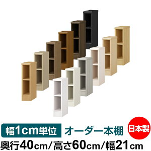 I[_[ {I [ I I bN TCYI[_[ e I[_[}`bN s40cm 60cm 21cmb{ ؐ e W^Cv ށE{[I I[vbN 
