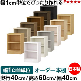 オーダー 本棚 収納 棚 書棚 ラック サイズオーダー 大容量 オーダーマルチラック 奥行40cm 高さ60cm 幅40cm｜日本製 木製 大容量 標準タイプ 書類・本収納棚 オープンラック 送料無料