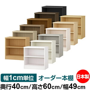 奥行40 収納ケース カラーボックス 通販 価格比較 価格 Com