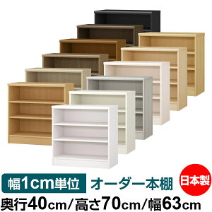 {I 1cmPʃI[_[ e I bNbs40cm 70cm 63cmb{ ؐ e W^Cv ށE{[I I[vbN 