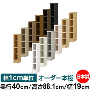 I[_[ {I [ I I bN TCYI[_[ e I[_[}`bN s40cm 88.1cm 19cmb{ ؐ e W^Cv ށE{[I I[vbN 