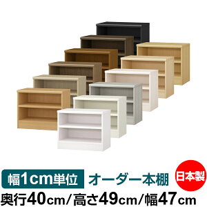 {I 1cmPʃI[_[ e I bNbs40cm 49cm 47cmb{ ؐ e ω׏d^t^Cv I Vv[ 