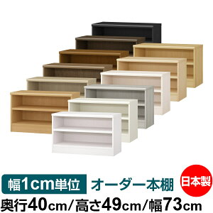 {I 1cmPʃI[_[ e I bNbs40cm 49cm 73cmb{ ؐ e ω׏d^t^Cv I Vv[ 