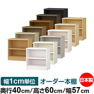 {I 1cmPʃI[_[ e I bNbs40cm 60cm 57cmb{ ؐ e ω׏d^t^Cv I Vv[ 