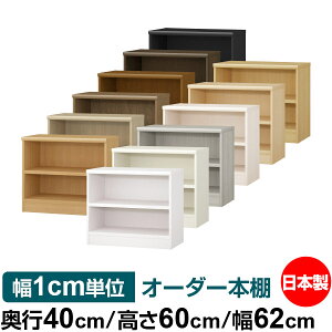 {I 1cmPʃI[_[ e I bNbs40cm 60cm 62cmb{ ؐ e ω׏d^t^Cv I Vv[ 