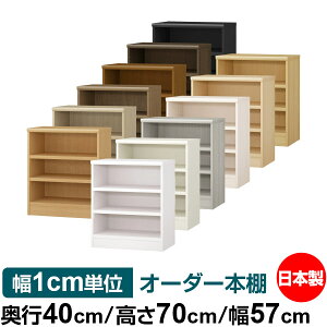 {I 1cmPʃI[_[ e I bNbs40cm 70cm 57cmb{ ؐ e ω׏d^t^Cv I Vv[ 