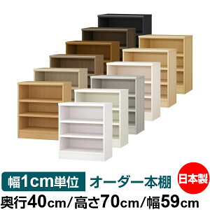 {I 1cmPʃI[_[ e I bNbs40cm 70cm 59cmb{ ؐ e ω׏d^t^Cv I Vv[ 