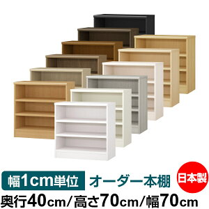 {I 1cmPʃI[_[ e I bNbs40cm 70cm 70cmb{ ؐ e ω׏d^t^Cv I Vv[ 