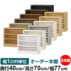 {I 1cmPʃI[_[ e I bNbs40cm 70cm 77cmb{ ؐ e ω׏d^t^Cv I Vv[ 