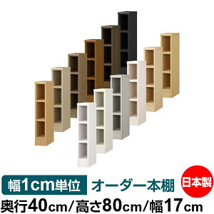 {I 1cmPʃI[_[ e I bNbs40cm 80cm 17cmb{ ؐ e ω׏d^t^Cv I Vv[ 