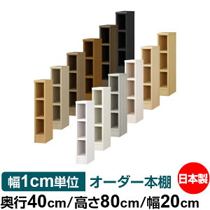 {I 1cmPʃI[_[ e I bNbs40cm 80cm 20cmb{ ؐ e ω׏d^t^Cv I Vv[ 