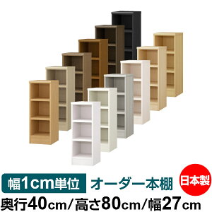 {I 1cmPʃI[_[ e I bNbs40cm 80cm 27cmb{ ؐ e ω׏d^t^Cv I Vv[ 