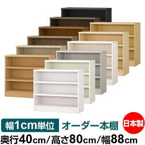 {I 1cmPʃI[_[ e I bNbs40cm 80cm 88cmb{ ؐ e ω׏d^t^Cv I Vv[ 