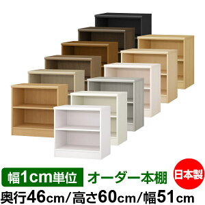 {I J[{bNX 1cmPʃI[_[bs46cm 60cm 51cmb{ ؐ F e [bN ړII W^Cv