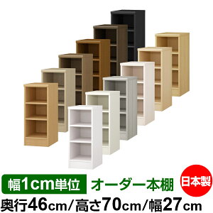 {I J[{bNX 1cmPʃI[_[bs46cm 70cm 27cmb{ ؐ F e [bN ړII W^Cv