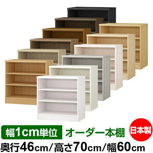 {I 1cmPʃI[_[ e I bNbs46cm 70cm 60cmb{ ؐ F e [bN ړII W^Cv