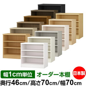 {I 1cmPʃI[_[ e I bNbs46cm 70cm 70cmb{ ؐ F e [bN ړII W^Cv