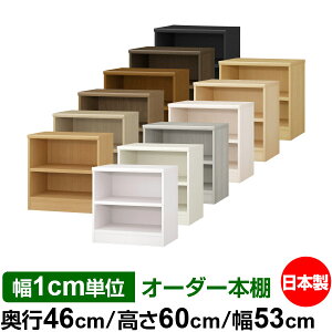 {I 1cmPʃI[_[ e I bNbs46cm 60cm 53cmb{ ؐ ω׏d^t^Cv I[v[I ړIbN 