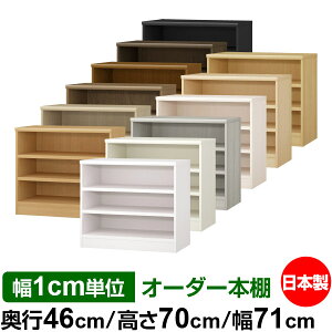 {I 1cmPʃI[_[ e I bNbs46cm 70cm 71cmb{ ؐ ω׏d^t^Cv I[v[I ړIbN 