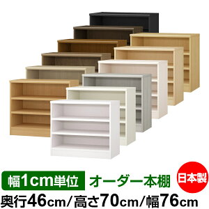 {I 1cmPʃI[_[ e I bNbs46cm 70cm 76cmb{ ؐ ω׏d^t^Cv I[v[I ړIbN 