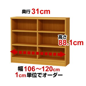 I[_[ChbNs31cm×88.1cm×106`120cm