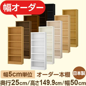 {I XbN s25cm 149cm 50cmbIׂ12Fb{ ؐZ~I[_[{Ibɖ{EA5Ή Fi