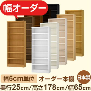 {I XbN s25cm 178cm 65cmbIׂ12Fb{ ؐZ~I[_[{Ibɖ{EA5Ή Fi