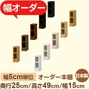 {I XbN s25cm 49cm 15cmbIׂ12Fb{ ؐZ~I[_[{Ibɖ{EA5Ή Fi