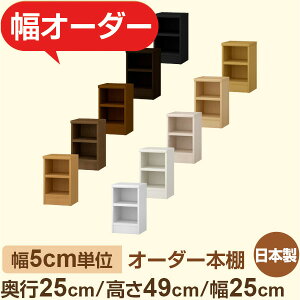 {I XbN s25cm 49cm 25cmbIׂ12Fb{ ؐZ~I[_[{Ibɖ{EA5Ή Fi