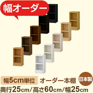 {I XbN s25cm 60cm 25cmbIׂ12Fb{ ؐZ~I[_[{Ibɖ{EA5Ή Fi