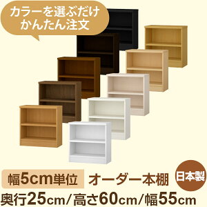 {I XbN s25cm 60cm 55cmbIׂ12Fb{ ؐZ~I[_[{Ibɖ{EA5Ή Fi