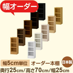 {I XbN s25cm 70cm 25cmbIׂ12Fb{ ؐZ~I[_[{Ibɖ{EA5Ή Fi