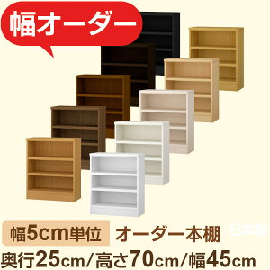 {I XbN s25cm 70cm 45cmbIׂ12Fb{ ؐZ~I[_[{Ibɖ{EA5Ή Fi