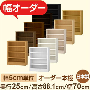 {I XbN s25cm 88cm 70cmbIׂ12Fb{ ؐZ~I[_[{Ibɖ{EA5Ή Fi