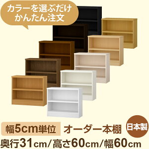 I[_[{I@s31cm 60cm 60cmb{ ؐ[Ib5cmPʃZ~I[_[Ή A4ΉEցEItBX