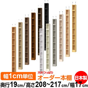 V ς I[_[ {I [ I I bN TCYI[_[ ^ V ˂ yzVς I[_[bN s19cm 208`217cm 17cmyW^CvzyI[_[{I 