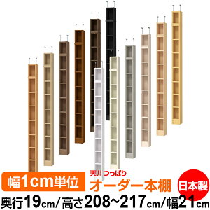 V ς I[_[ {I [ I I bN TCYI[_[ ^ V ˂ yzVς I[_[bN s19cm 208`217cm 21cmyW^CvzyI[_[{I 