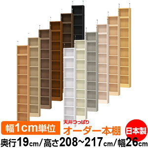 V ς I[_[ {I [ I I bN TCYI[_[ ^ V ˂ yzVς I[_[bN s19cm 208`217cm 26cmyW^CvzyI[_[{I 