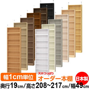 V ς I[_[ {I [ I I bN TCYI[_[ ^ V ˂ yzVς I[_[bN s19cm 208`217cm 49cmyW^CvzyI[_[{I 