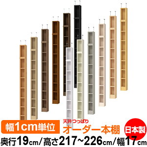 V ς I[_[ {I [ I I bN TCYI[_[ ^ V ˂ yzVς I[_[bN s19cm 217`226cm 17cmyW^CvzyI[_[{I 