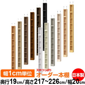 V ς I[_[ {I [ I I bN TCYI[_[ ^ V ˂ yzVς I[_[bN s19cm 217`226cm 20cmyW^CvzyI[_[{I 