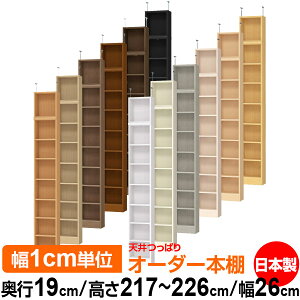 V ς I[_[ {I [ I I bN TCYI[_[ ^ V ˂ yzVς I[_[bN s19cm 217`226cm 26cmyW^CvzyI[_[{I 