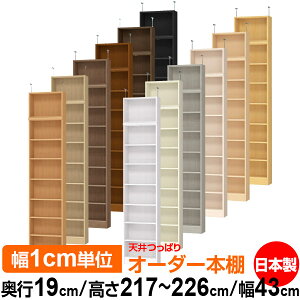 V ς I[_[ {I [ I I bN TCYI[_[ ^ V ˂ yzVς I[_[bN s19cm 217`226cm 43cmyW^CvzyI[_[{I 