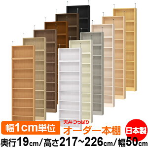 V ς I[_[ {I [ I I bN TCYI[_[ ^ V ˂ yzVς I[_[bN s19cm 217`226cm 50cmyW^CvzyI[_[{I 