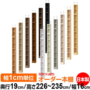 V ς I[_[ {I [ I I bN TCYI[_[ ^ V ˂ yzVς I[_[bN s19cm 226`235cm 16cmyW^CvzyI[_[{I 