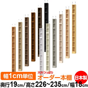 V ς I[_[ {I [ I I bN TCYI[_[ ^ V ˂ yzVς I[_[bN s19cm 226`235cm 18cmyW^CvzyI[_[{I 