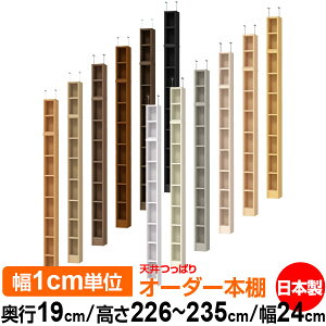 V ς I[_[ {I [ I I bN TCYI[_[ ^ V ˂ yzVς I[_[bN s19cm 226`235cm 24cmyW^CvzyI[_[{I 